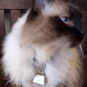 Meet your Posher, Kim